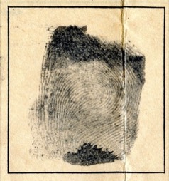 Stacks Image 187